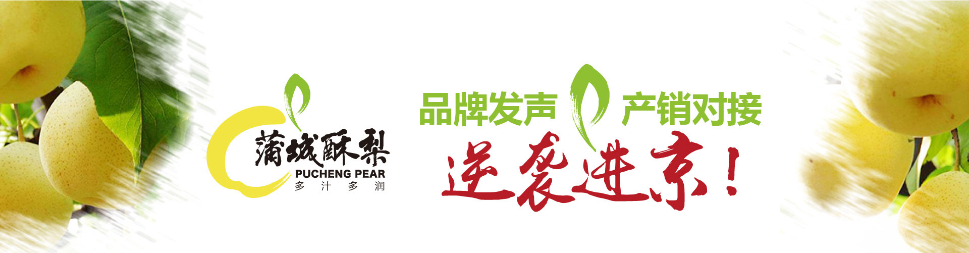 战略赋能区域公用品牌，点亮区域经济