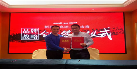 重磅喜讯 丨 志起未来再度携手高培奶粉，助力打造世界级品牌