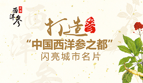 文登西洋参产业：打造“中国西洋参之都”闪亮城市名片！