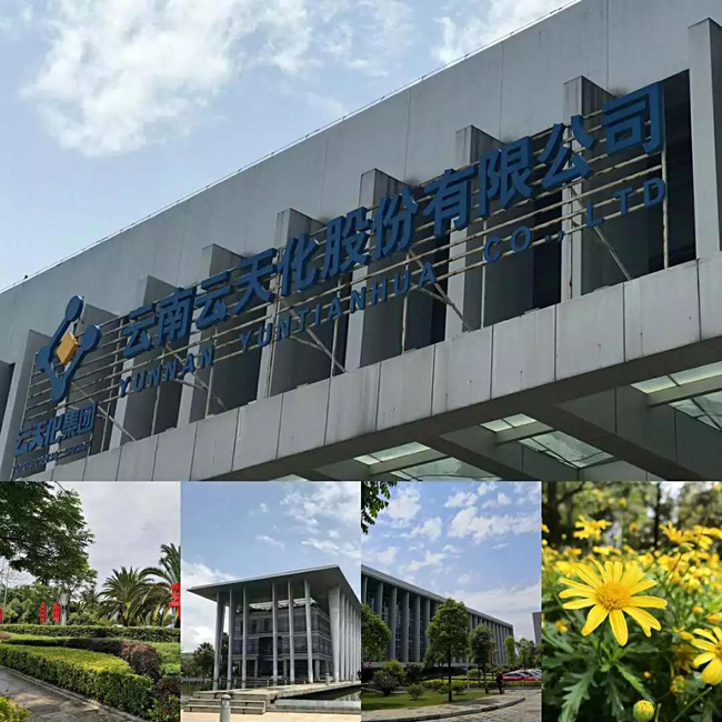 1553848501426446.jpg 65fa2275-26a7-4dc6-847d-6a61d51090de.jpg