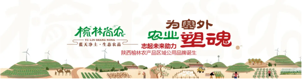 1635838588565006.png image.png